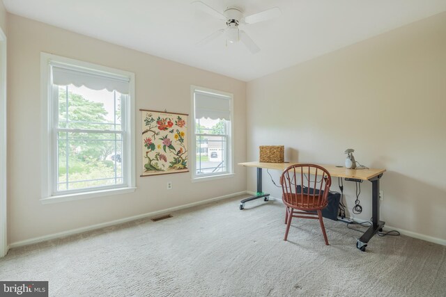 1439 Millikens Bend Rd, Herndon, VA 20170 - carpeted office with plenty of natural light and a ceiling fan