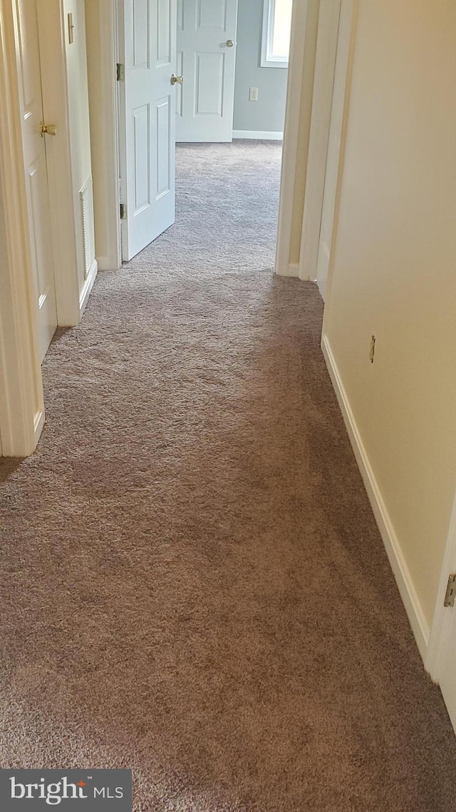 1288 Ox Rd Unit D, Woodstock, VA 22664 - corridor featuring carpet flooring and baseboards