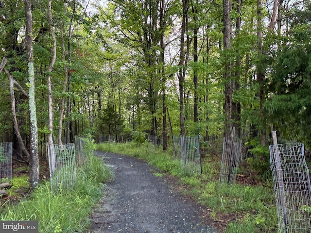 1731 Columbia Beach Rd, Shady Side, MD 20764 - view of road featuring a forest view