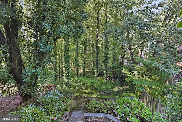 9405 Odyssey Ct, Burke, VA 22015 - view of yard with a gate