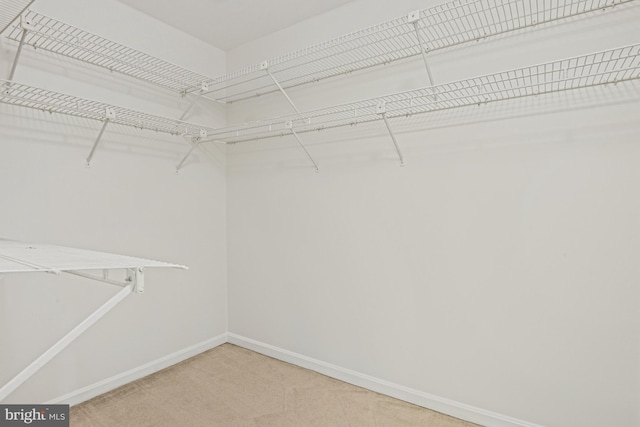 9405 Odyssey Ct, Burke, VA 22015 - spacious closet featuring light carpet