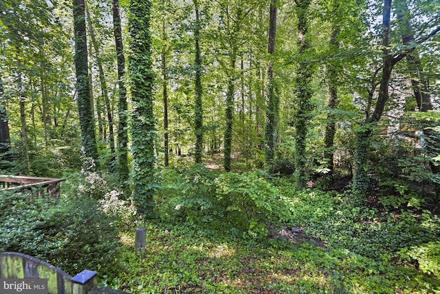 9405 Odyssey Ct, Burke, VA 22015 - view of tree filled area
