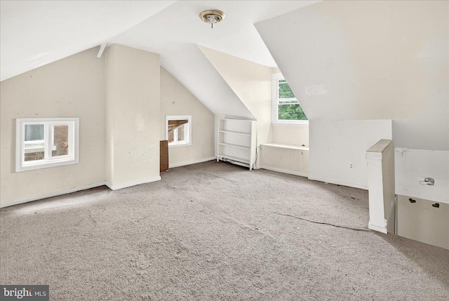 607 Salem Ave, Hagerstown, MD 21740 - additional living space featuring healthy amount of natural light, lofted ceiling, and carpet floors