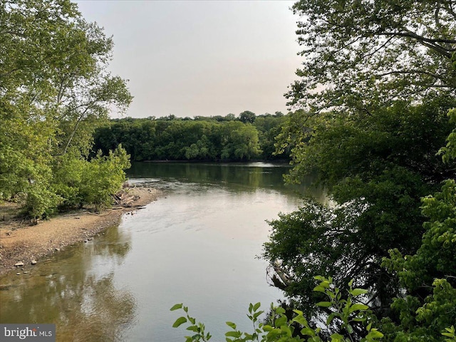 607 Salem Ave, Hagerstown, MD 21740 - water view featuring a heavily wooded area