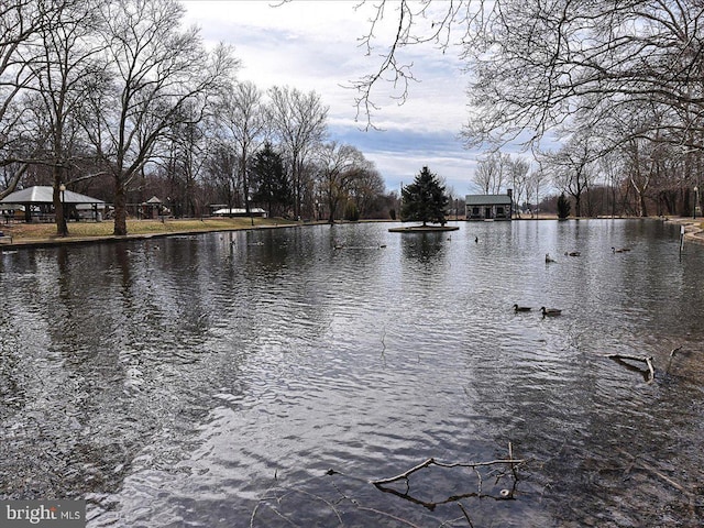 607 Salem Ave, Hagerstown, MD 21740 - water view