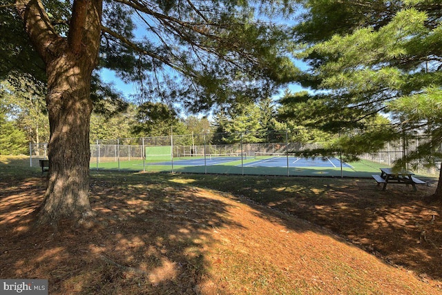607 Salem Ave, Hagerstown, MD 21740 - view of tennis court