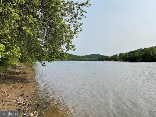 607 Salem Ave, Hagerstown, MD 21740 - water view with a forest