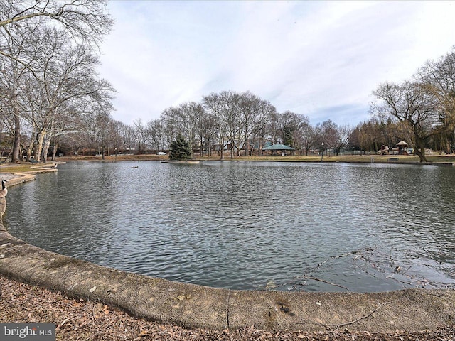 607 Salem Ave, Hagerstown, MD 21740 - water view