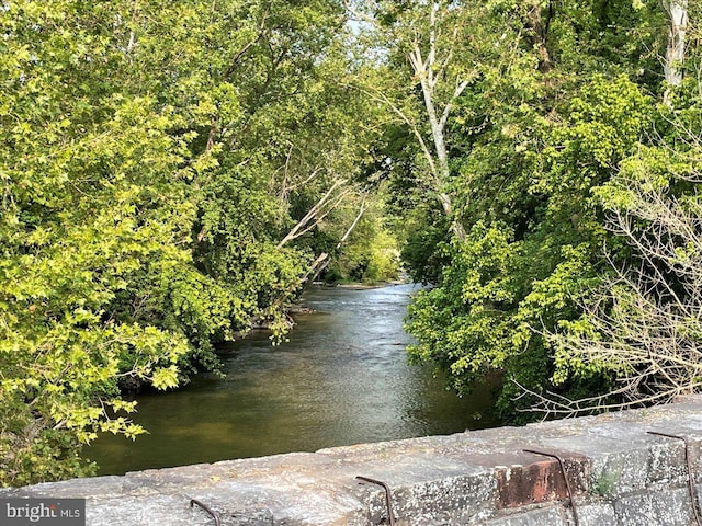 607 Salem Ave, Hagerstown, MD 21740 - water view