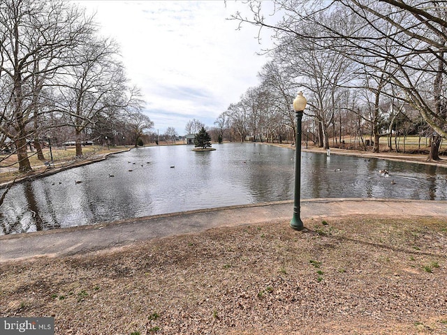 607 Salem Ave, Hagerstown, MD 21740 - water view