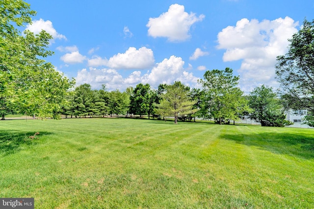32 Brewster Ct, Pennington, NJ 08534 - view of green lawn