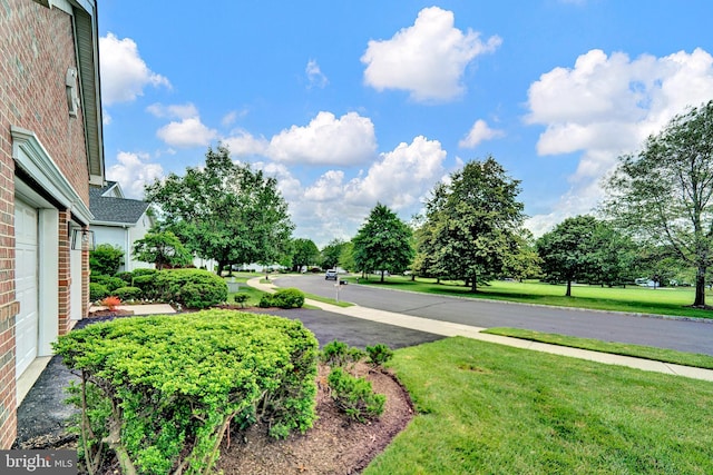 32 Brewster Ct, Pennington, NJ 08534 - view of green lawn