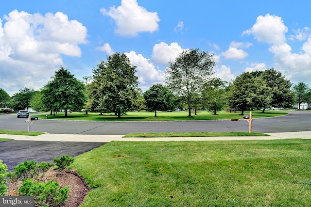 32 Brewster Ct, Pennington, NJ 08534 - view of green lawn