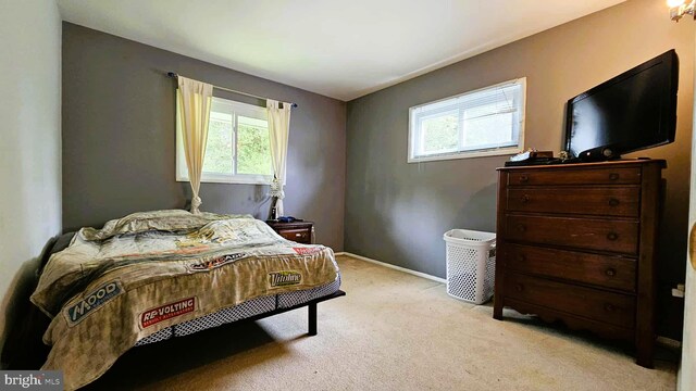 4753 Pomponio Pl, Annandale, VA 22003 - bedroom featuring multiple windows and light carpet