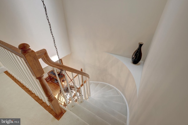 8162 Madrillon Ct, Vienna, VA 22182 - stairway with carpet floors and baseboards