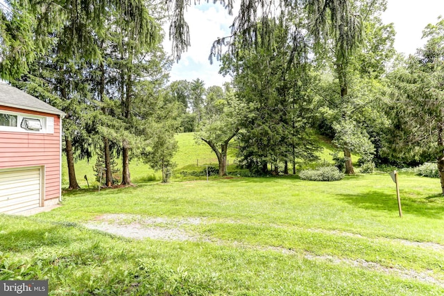 175 Dellville Rd, Duncannon, PA 17020 - view of grassy yard featuring view of wooded area