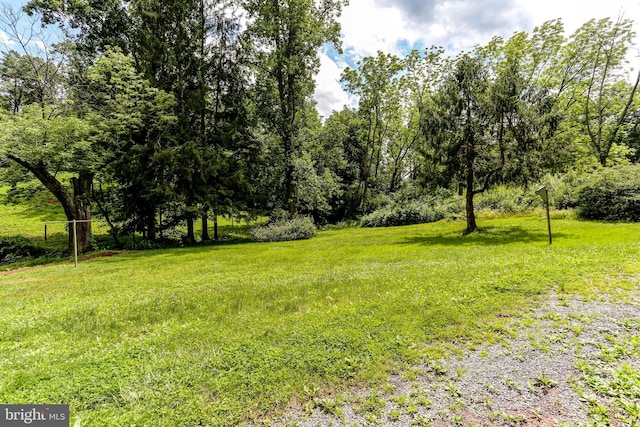 175 Dellville Rd, Duncannon, PA 17020 - view of yard