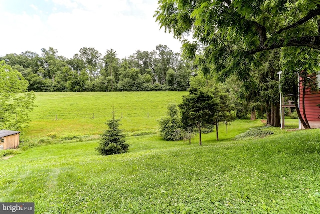 175 Dellville Rd, Duncannon, PA 17020 - view of yard