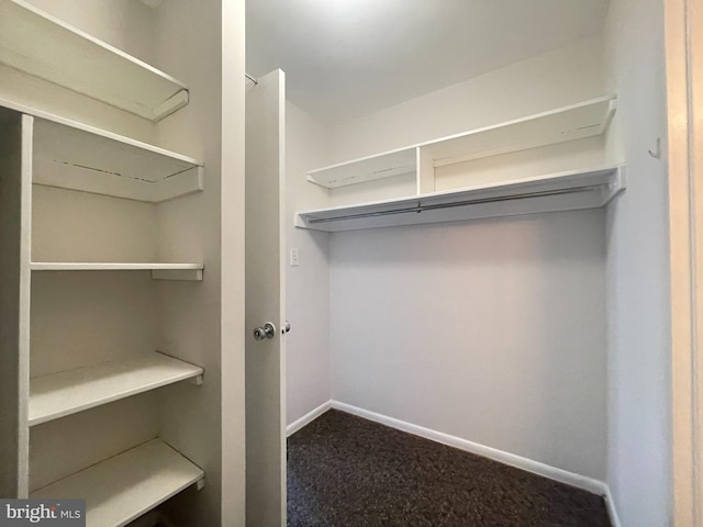 2939 Van Ness St NW Unit 743, Washington, DC 20008 - view of walk in closet