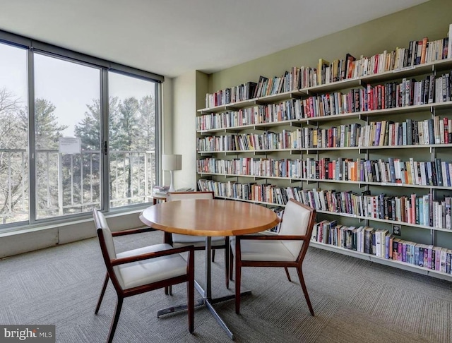 2939 Van Ness St NW Unit 743, Washington, DC 20008 - sitting room with carpet flooring and wall of books