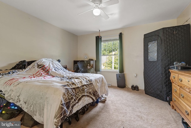 716 Euclid Ave, Lancaster, PA 17603 - bedroom featuring light carpet and ceiling fan