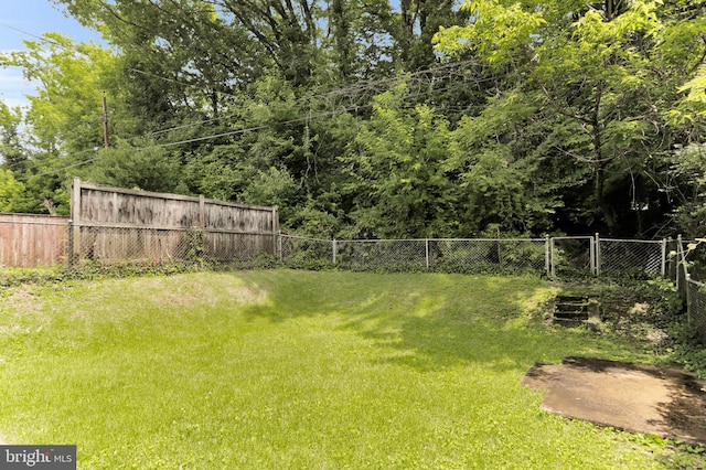 5947 Lillyan Ave, Baltimore, MD 21206 - view of yard