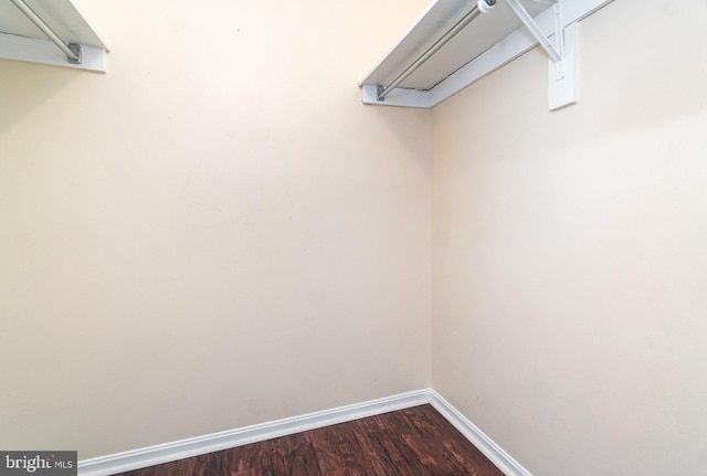307 Yoakum Pkwy Unit 716, Alexandria, VA 22304 - walk in closet with dark wood-type flooring