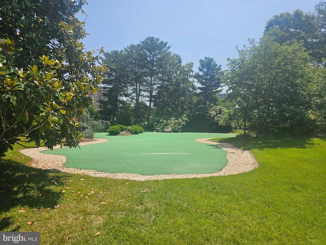 307 Yoakum Pkwy Unit 716, Alexandria, VA 22304 - view of community with a yard