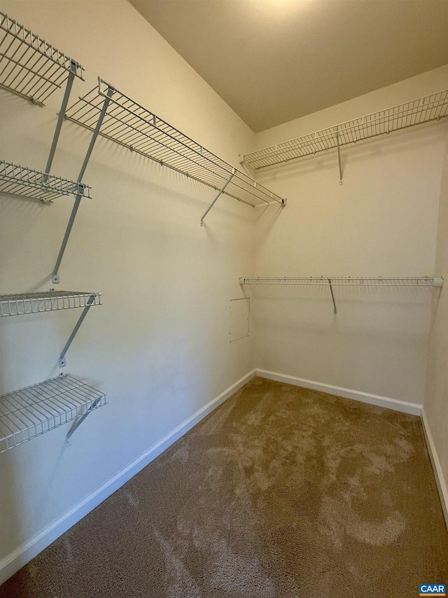 2176 Whispering Hollow Ln, Charlottesville, VA 22911 - walk in closet with carpet flooring