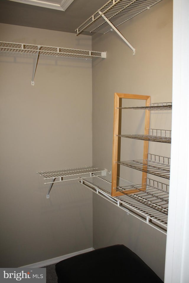 8553 Adams Ct, Hummelstown, PA 17036 - view of walk in closet