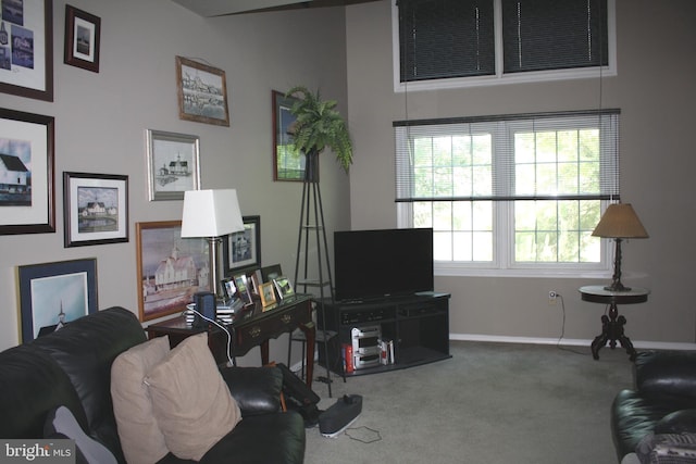 8553 Adams Ct, Hummelstown, PA 17036 - living area with carpet floors and baseboards