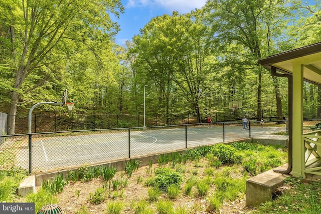 11944 Andrew St, Silver Spring, MD 20902 - view of basketball court featuring basketball hoop