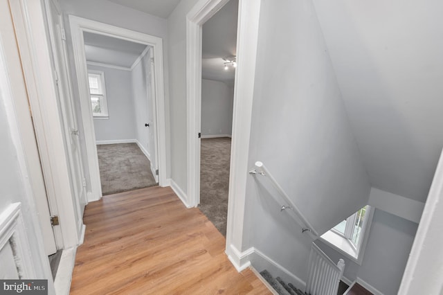 1112 Serrill Ave, Lansdowne, PA 19050 - corridor featuring an upstairs landing, light wood-type flooring, and light carpet