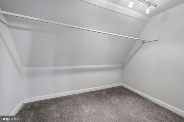 1112 Serrill Ave, Lansdowne, PA 19050 - spacious closet with carpet floors and vaulted ceiling