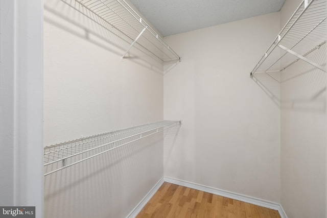 1533 Lincoln Way Unit 301A, Mclean, VA 22102 - walk in closet featuring light wood-style flooring