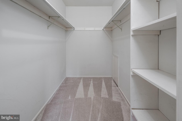 3808 Adelaide Dr, Mount Laurel, NJ 08054 - spacious closet with light colored carpet