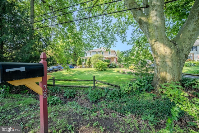 38 E Old Baltimore Pike, Media, PA 19063 - view of yard