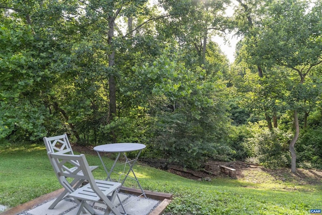 220 Buttercup Ln, Charlottesville, VA 22902 - view of green lawn