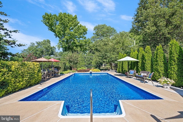1512 Marsh Rd, Wilmington, DE 19803 - swimming pool with a patio area