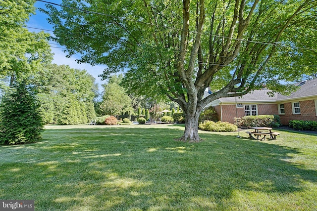 1512 Marsh Rd, Wilmington, DE 19803 - view of grassy yard