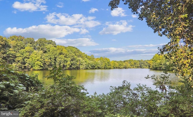 20207 Laurel Hill Way, Germantown, MD 20874 - water view featuring a heavily wooded area
