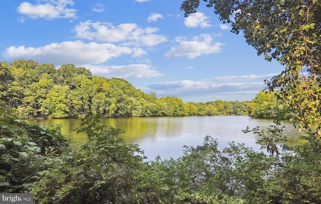 20207 Laurel Hill Way, Germantown, MD 20874 - water view with a forest