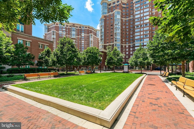 2121 Jamieson Ave Unit 707, Alexandria, VA 22314 - view of community featuring a yard