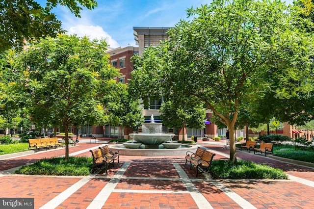 2121 Jamieson Ave Unit 707, Alexandria, VA 22314 - surrounding community