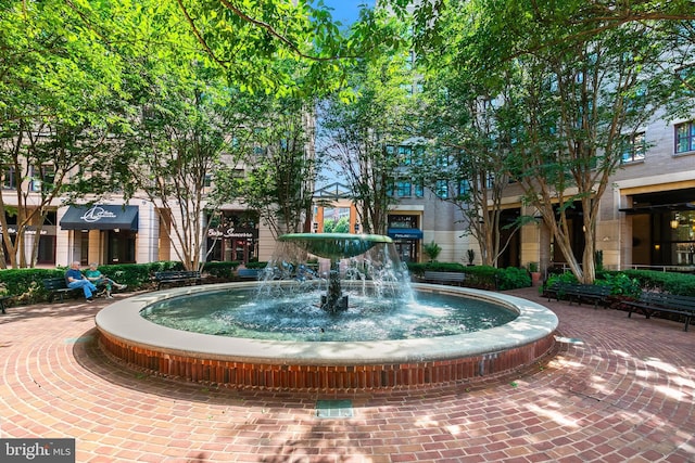 2121 Jamieson Ave Unit 707, Alexandria, VA 22314 - view of community