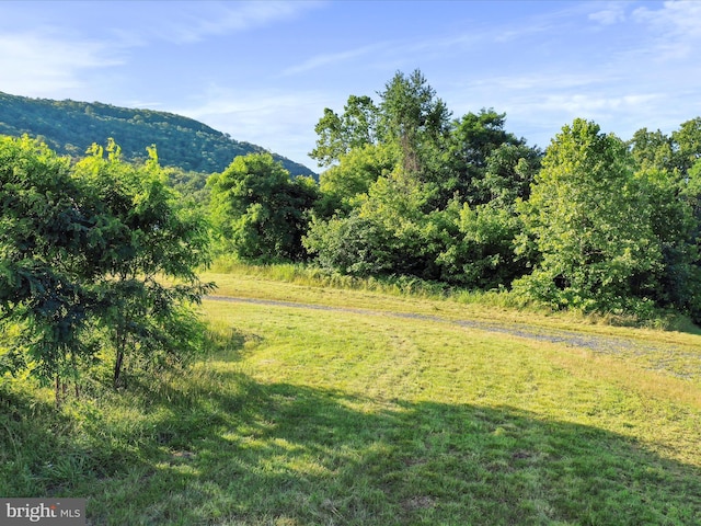 Rocky Ln, Front Royal, VA 22630