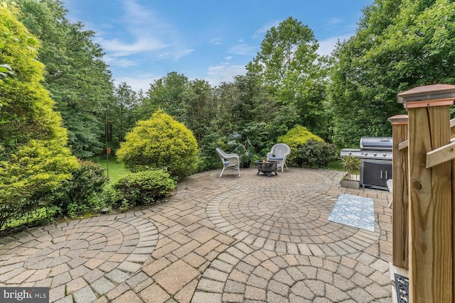 17 Paddock Ln, Flemington, NJ 08822 - view of patio / terrace with a fire pit and a grill