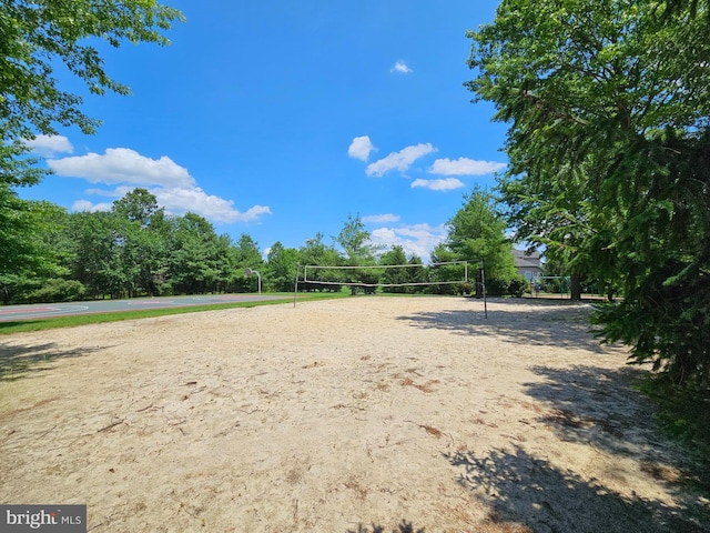 17 Paddock Ln, Flemington, NJ 08822 - view of property's community featuring volleyball court