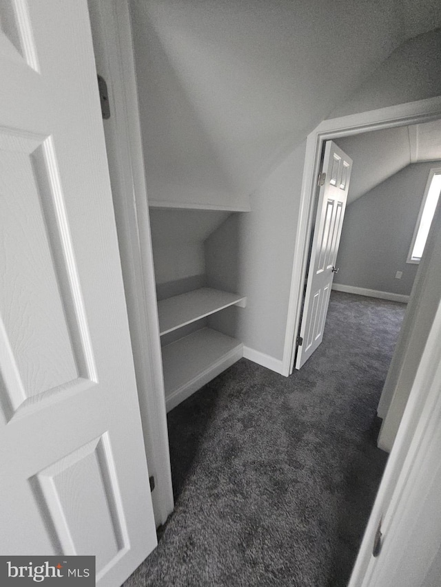 1608 Howard, Baltimore, MD 21221 - spacious closet with carpet flooring and vaulted ceiling