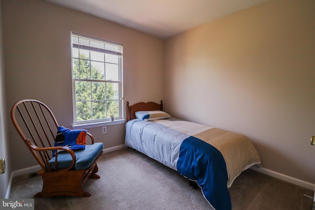 365 Charles Cir, Hellam, PA 17406 - carpeted bedroom with multiple windows